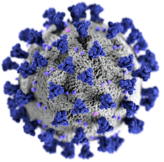covid 19 virus illustration 2